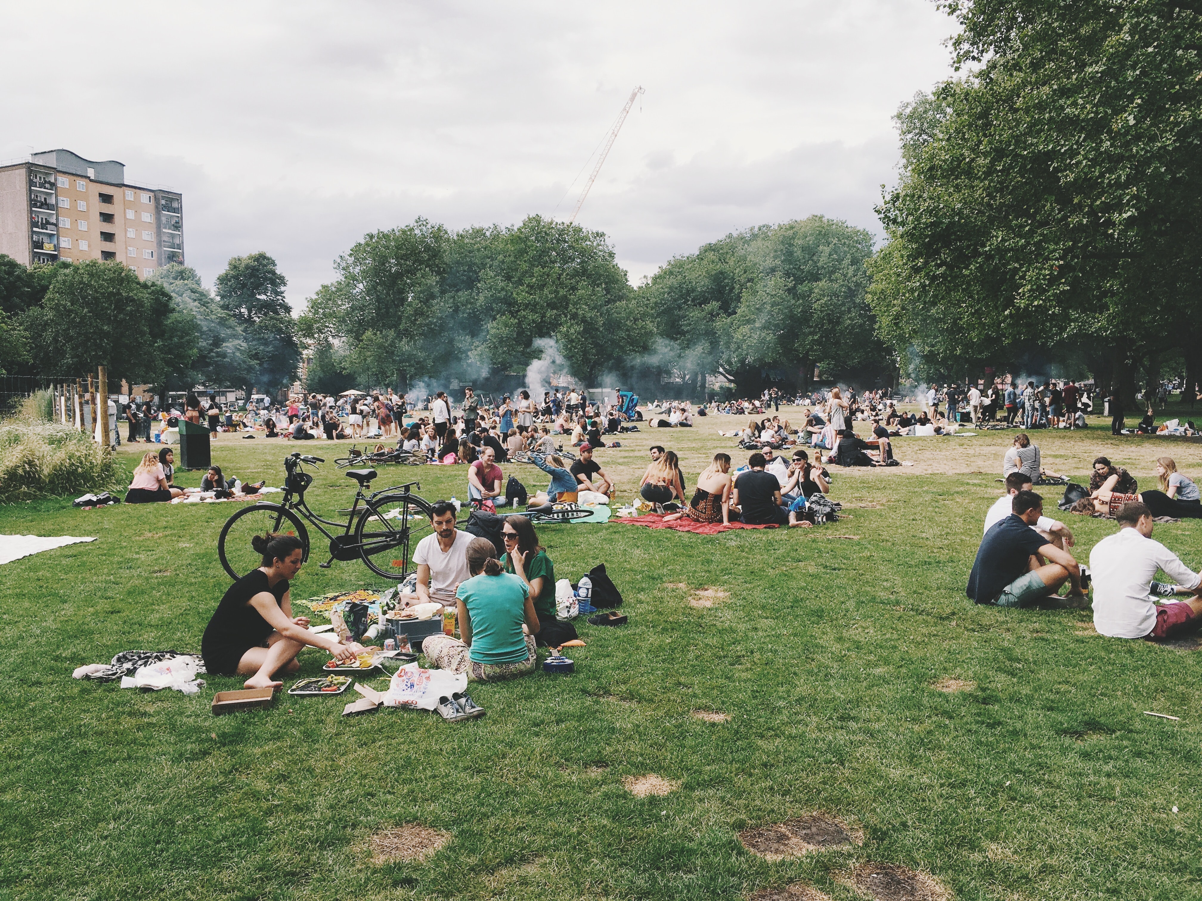 people at a park